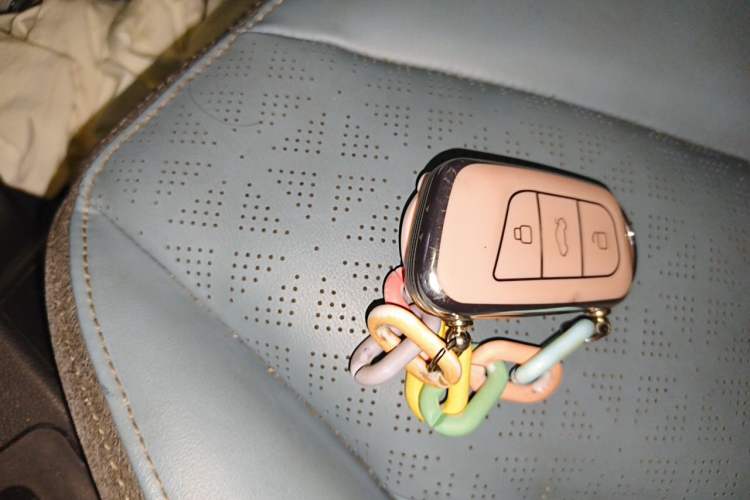 Used Chery QQ Little Ant 2022 Sweet Pink Edition Half-Sugar Version Lithium Iron Phosphate 29.2 kWh 30 kW 301 km Vehicle Key