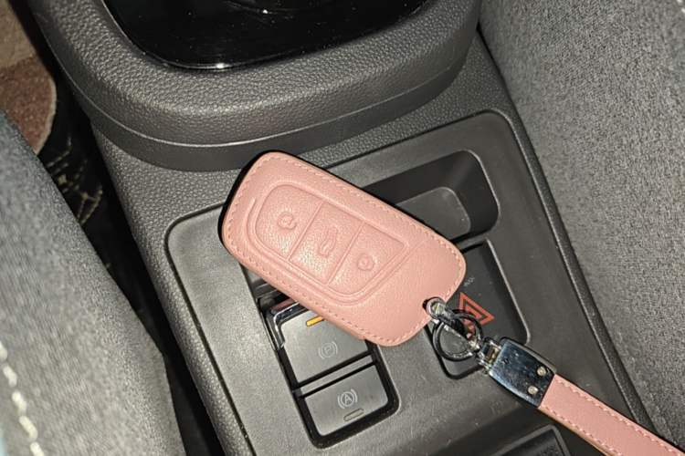 Used Chery QQ Little Ant 2022 Revised Version Sweet Pink Edition Half-Sugar Version Lithium Iron Phosphate 30.7 kWh 30 kW 301 km Vehicle Key