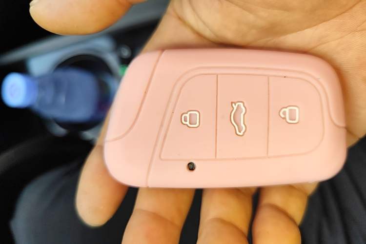 Used Chery QQ Little Ant 2022 Sweet Pink Edition Half-Sugar Version Lithium Iron Phosphate 30 kW 301 km Vehicle Key