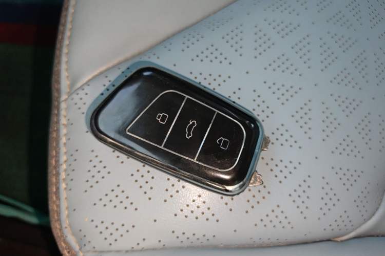 Used Chery QQ Little Ant 2022 Sweet Pink Edition Low-Sugar Version 30kW 301km Range Vehicle Key