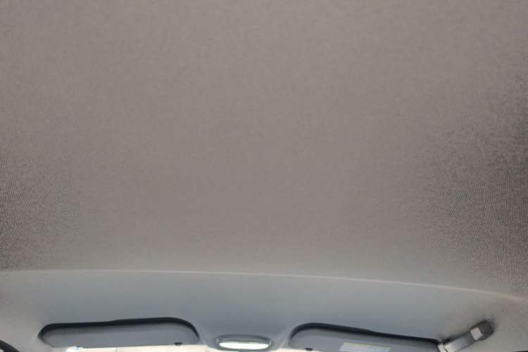 Used Chery QQ Little Ant 2023 251km True Love Edition Lithium Iron Phosphate Headliner