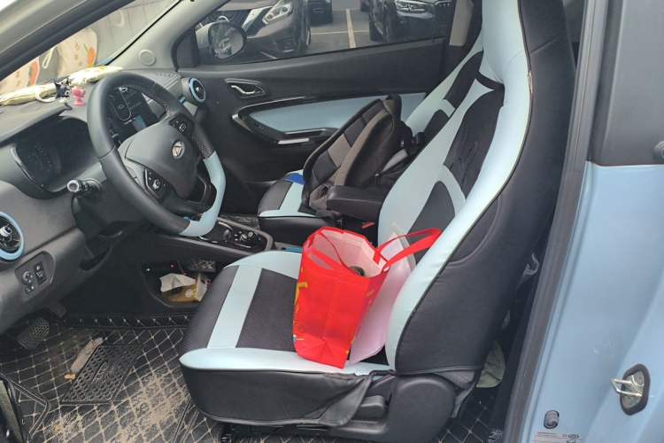 Used Chery QQ Little Ant 2023 251km True Love Edition Lithium Iron Phosphate Left Front Seat