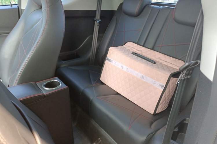 Used Chery QQ Little Ant 2023 251km Love Edition Lithium Iron Phosphate Left Rear Seat