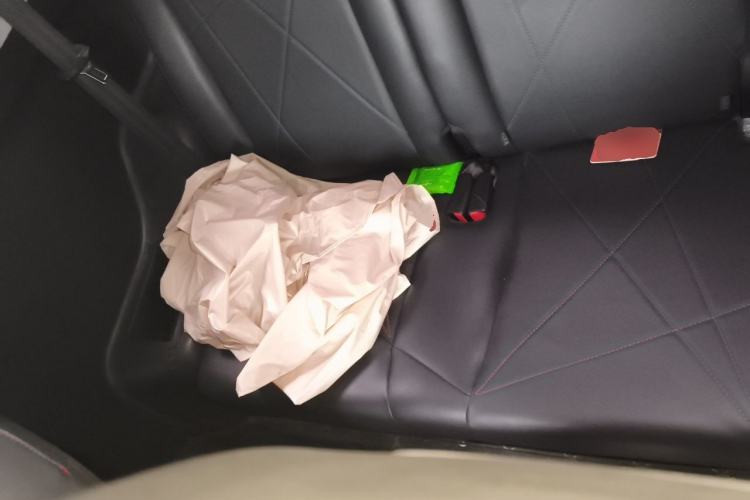 Used Chery QQ Little Ant 2023 301km True Love Plus Version Lithium Iron Phosphate Left Rear Seat