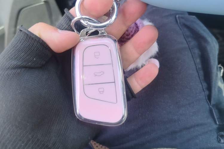 Used Chery QQ Little Ant 2023 251km True Love Edition Lithium Iron Phosphate Vehicle Key