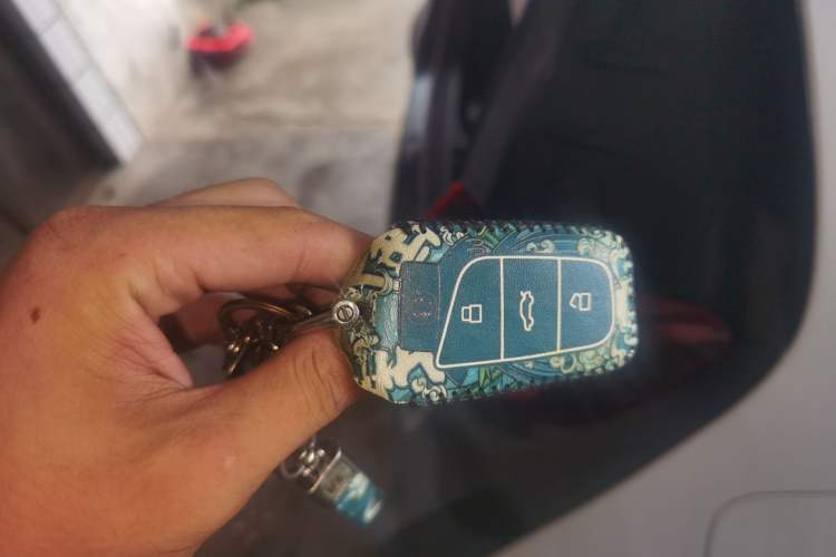 Used Chery QQ Little Ant 2023 301km True Love Plus Version Lithium Iron Phosphate Vehicle Key