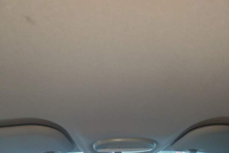 Used Chery QQ Little Ant 2023 301km True Love Plus Version Lithium Iron Phosphate Headliner