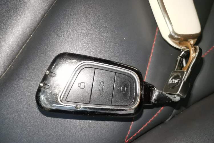 Used Chery QQ Little Ant 2023 301km True Love Plus Version Ternary Lithium Vehicle Key