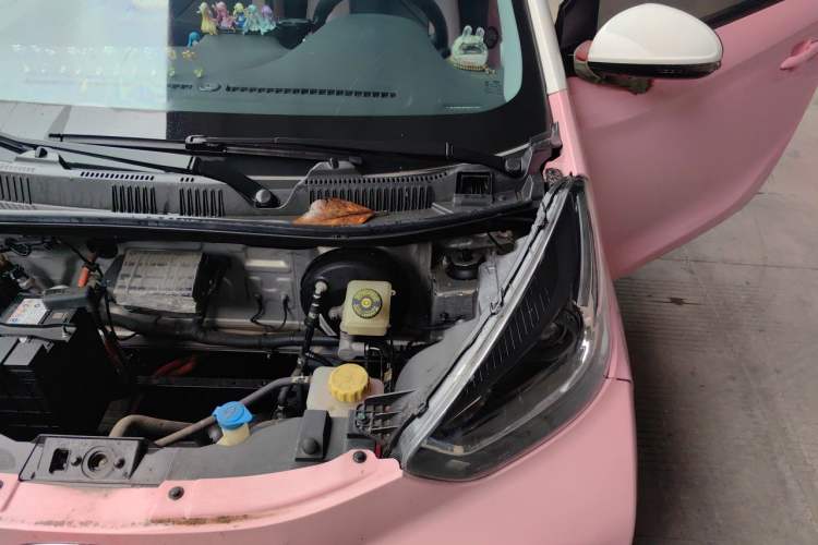 Used Chery QQ Little Ant 2023 301km True Love Plus Version Lithium Iron Phosphate Engine Bay Left