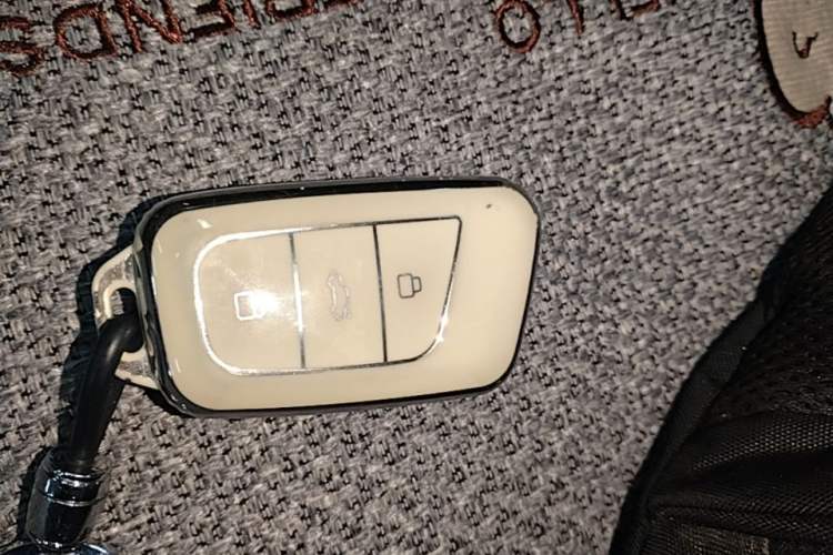 Used Chery QQ Little Ant 2023 251km True Love Edition Lithium Iron Phosphate Interior 1