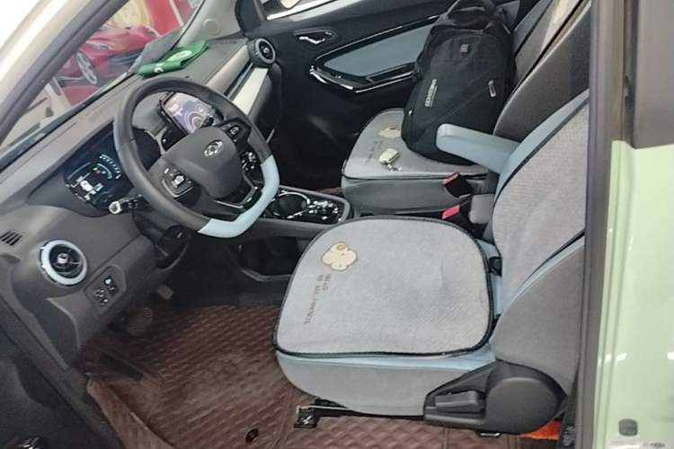 Used Chery QQ Little Ant 2023 251km True Love Edition Lithium Iron Phosphate Left Front Seat