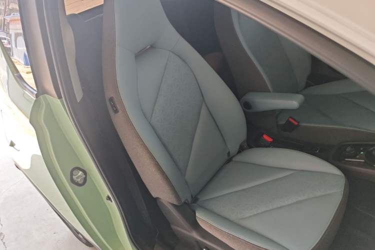 Used Chery QQ Little Ant 2023 251km True Love Edition Lithium Iron Phosphate Right Front Seat