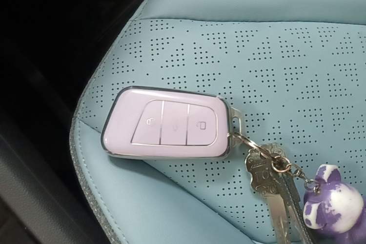 Used Chery QQ Little Ant 2023 251km True Love Edition Lithium Iron Phosphate Vehicle Key