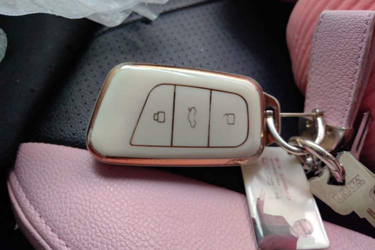 Used Chery QQ Little Ant 2023 301km True Love Plus Version Lithium Iron Phosphate Vehicle Key
