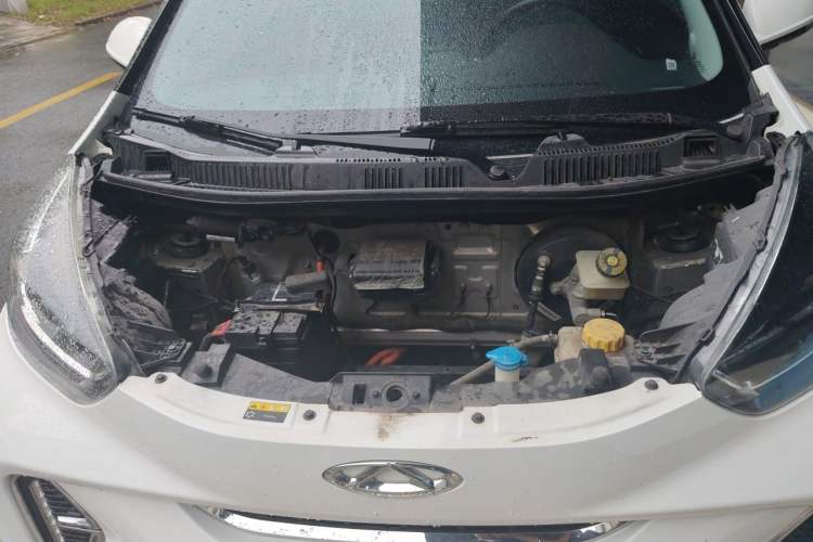 Used Chery QQ Little Ant 2023 301km True Love Plus Version Lithium Iron Phosphate Engine Bay