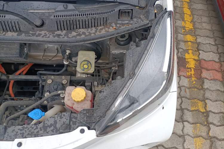 Used Chery QQ Little Ant 2023 301km True Love Plus Version Lithium Iron Phosphate Engine Bay Left