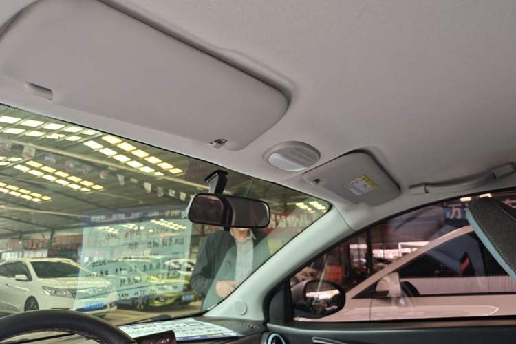 Used Chery QQ Little Ant 2023 251km True Love Edition Lithium Iron Phosphate Headliner
