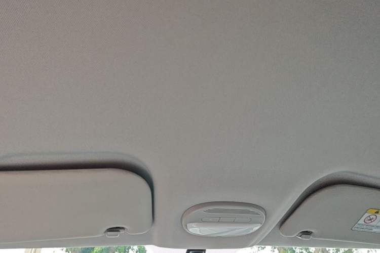 Used Chery QQ Little Ant 2023 Updated Version 251 km Love Edition Lithium Iron Phosphate Headliner