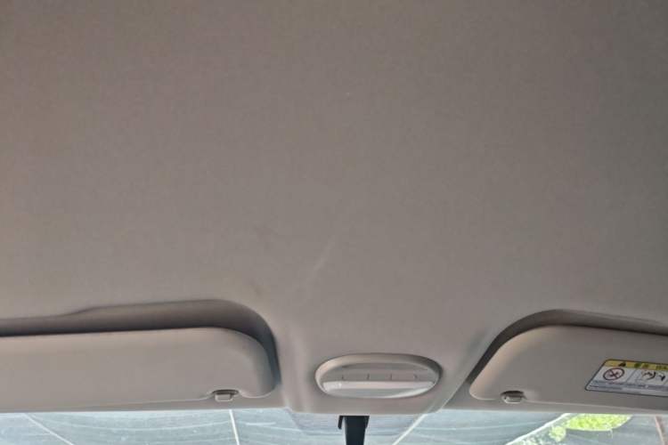 Used Chery QQ Little Ant 2023 251km True Love Edition Lithium Iron Phosphate Headliner
