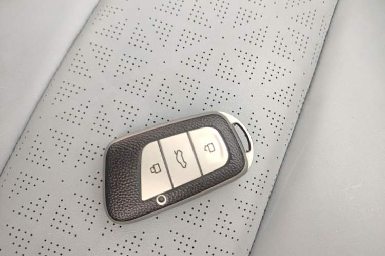 Used Chery QQ Little Ant 2023 251km True Love Edition Lithium Iron Phosphate Interior 1