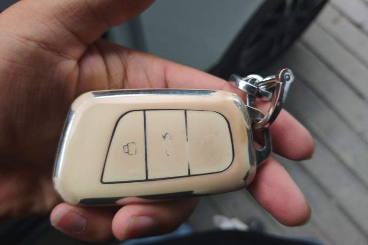 Used Chery QQ Little Ant 2023 301km True Love Plus Version Lithium Iron Phosphate Interior 1