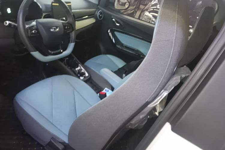Used Chery QQ Little Ant 2023 251km True Love Edition Lithium Iron Phosphate Left Front Seat