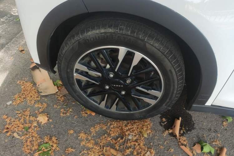 Used Chery QQ Little Ant 2023 251km True Love Edition Lithium Iron Phosphate Left Front Wheel Hub