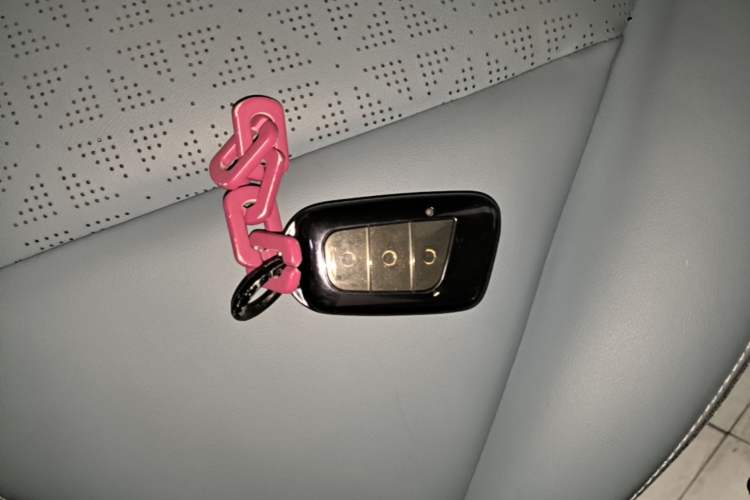 Used Chery QQ Little Ant 2023 251km True Love Edition Lithium Iron Phosphate Vehicle Key