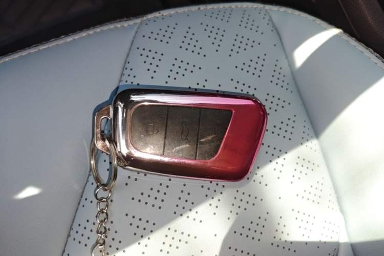 Used Chery QQ Little Ant 2023 251km True Love Edition Lithium Iron Phosphate Vehicle Key