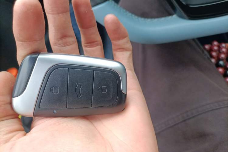 Used Chery QQ Little Ant 2023 301km True Love Plus Version Lithium Iron Phosphate Vehicle Key