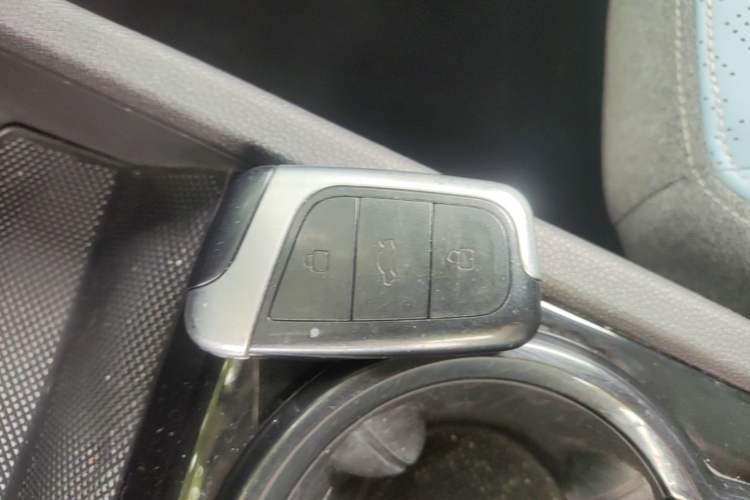 Used Chery QQ Little Ant 2023 251km True Love Edition Lithium Iron Phosphate Vehicle Key