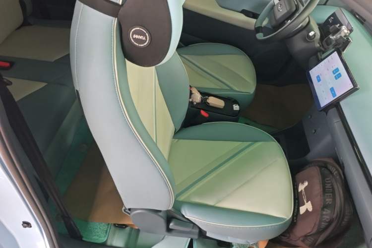 Used Chery QQ Little Ant 2024 Edition Youth Version 321 km Beloved Version 29.23 kWh Right Front Seat