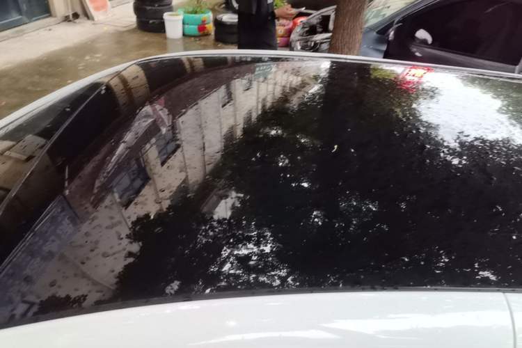 Used Chery QQ Little Ant 2024 Edition Youth Version 321 km Beloved Version 29.23 kWh Roof