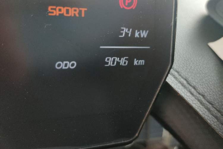 Used Chery QQ Little Ant 2024 Revised Edition Youth Version 321 km Cool Love Edition 29.23 kWh Odometer Close Up