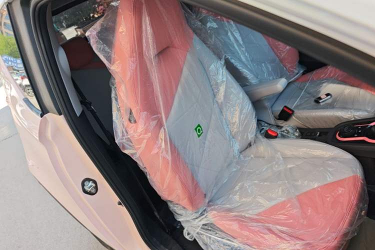 Used Chery QQ Little Ant 2024 Revised Version Youth Edition 251 km True Love Edition 25.05 kWh Right Front Seat