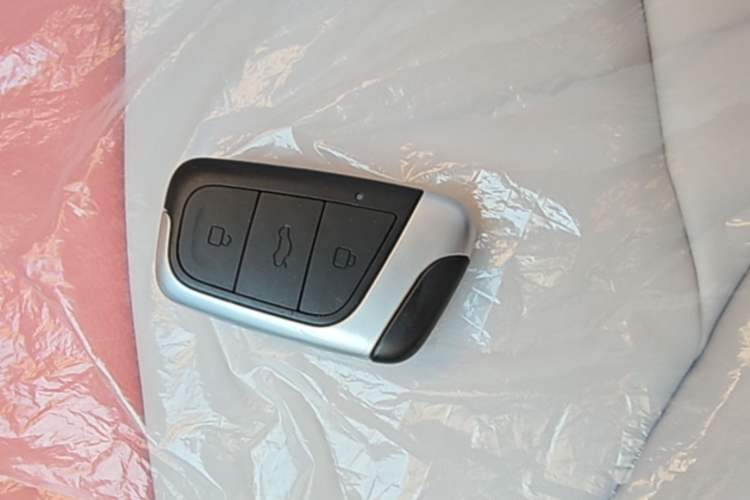 Used Chery QQ Little Ant 2024 Revised Version Youth Edition 251 km True Love Edition 25.05 kWh Vehicle Key