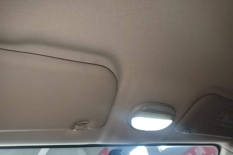 Used Chery QQ Little Ant 2024 251km True Love Edition Headliner