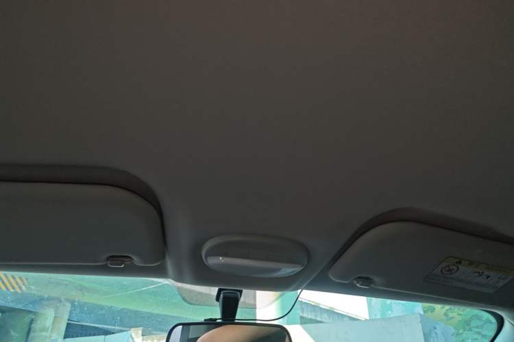 Used Chery QQ Little Ant 2024 251km True Love Edition Headliner