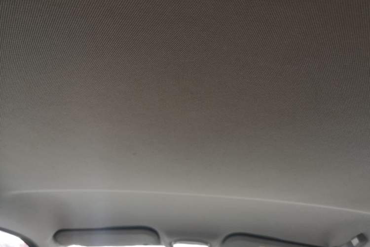 Used Chery QQ Little Ant 2024 251km True Love Edition Headliner