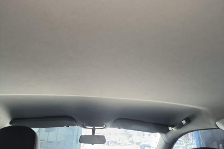 Used Chery QQ Little Ant 2024 251km True Love Edition Headliner