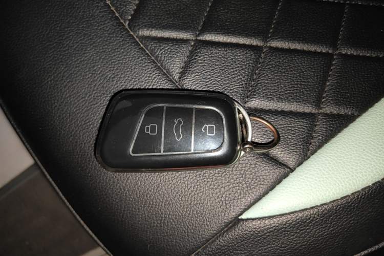 Used Chery QQ Little Ant 2024 Revised Version Youth Edition 251 km True Love Edition 25.05 kWh Interior 1