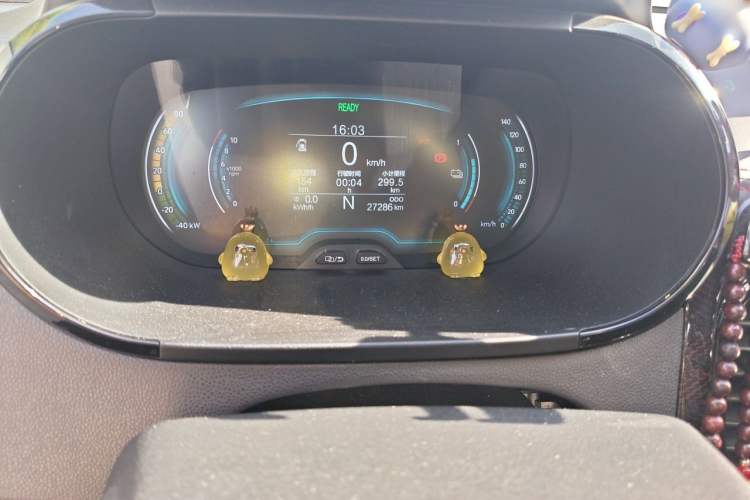Used Chery QQ Little Ant 2024 Revised Version Youth Edition 251 km True Love Edition 25.05 kWh Odometer Close Up