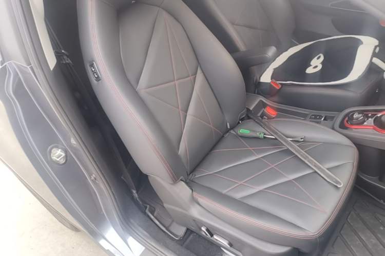 Used Chery QQ Little Ant 2024 Revised Version Youth Edition 251 km True Love Edition 25.05 kWh Right Front Seat