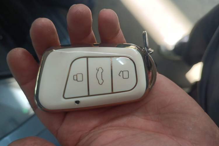 Used Chery QQ Little Ant 2024 251km True Love Edition Vehicle Key
