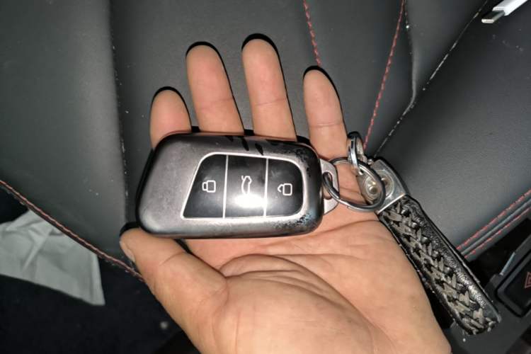 Used Chery QQ Little Ant 2024 251km True Love Edition Vehicle Key
