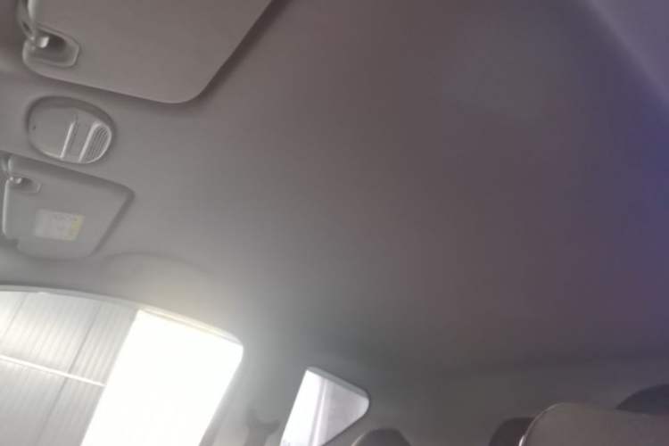 Used Chery QQ Little Ant 2024 321km Love Edition Headliner