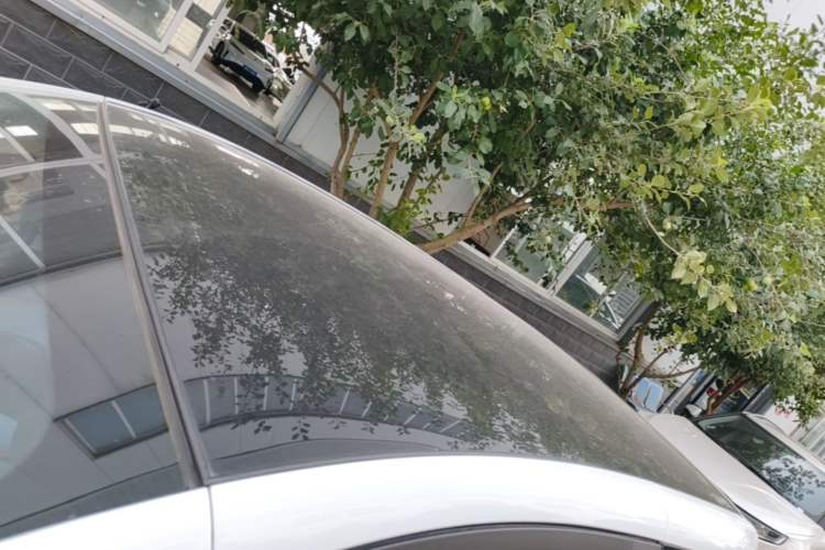 Used Chery QQ Little Ant 2024 251km True Love Edition Roof