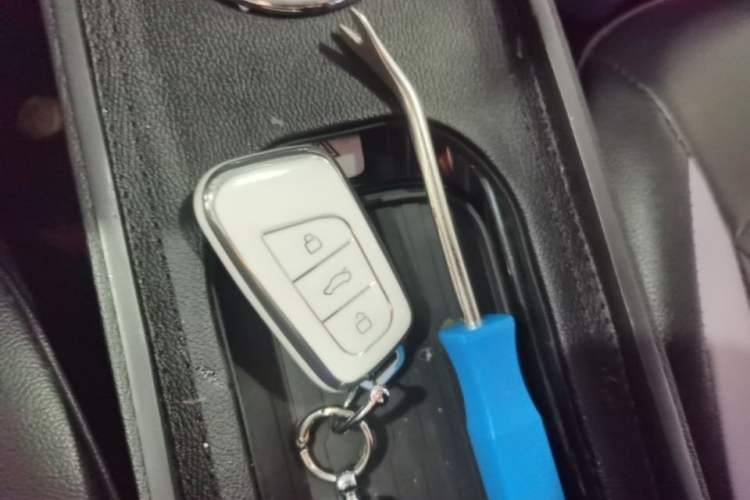 Used Chery QQ Little Ant 2024 321km Love Edition Vehicle Key