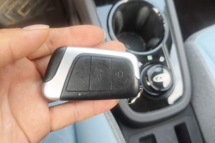Used Chery QQ Little Ant 2024 251km True Love Edition Vehicle Key