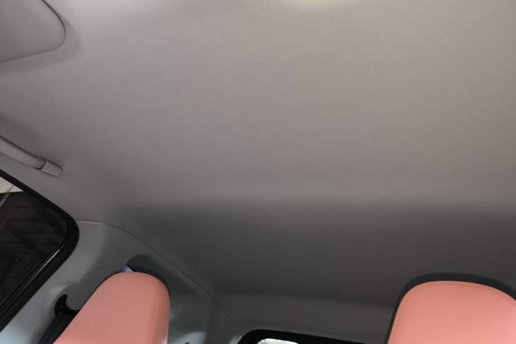 Used Chery QQ Little Ant 2024 Revised Version Youth Edition 251 km True Love Edition 25.05 kWh Headliner